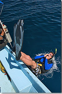 Scuba Diving