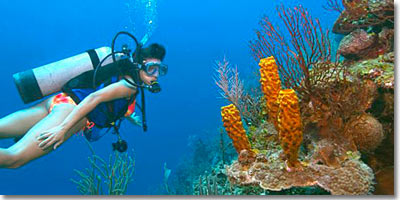 Scuba Diving