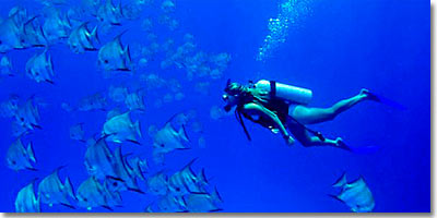 diving